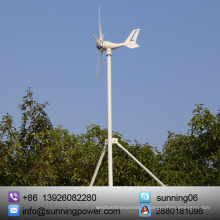 Eco-Worthy 12/24 volts 300 watts actionnés par le système solaire de vent: générateur de turbine de vent de 12V / 24V 300W